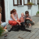 Hof Ten Hullenhove Hoeve Toerisme Belgique